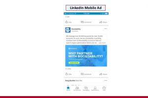 Portfolio for LinkedIn Social Marketing Strategy.